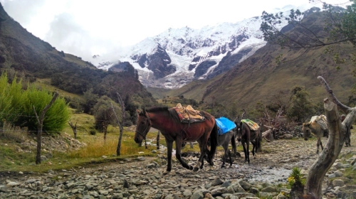 salkantay-blog-3